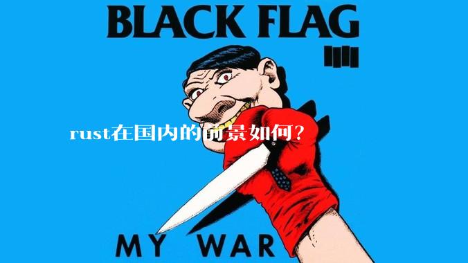 rust在国内的前景如何？