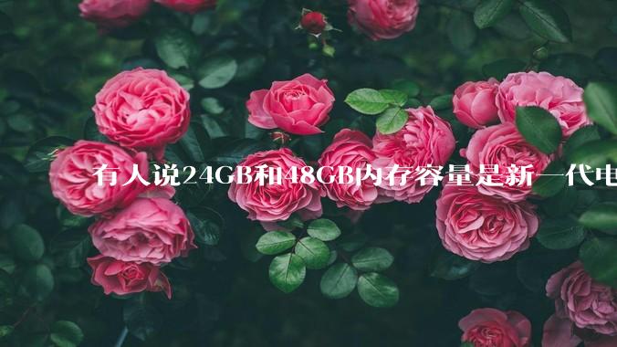 有人说24GB和48GB内存容量是新一代电脑平台最均衡的方案，真的是这样吗？电脑内存应该如何选？