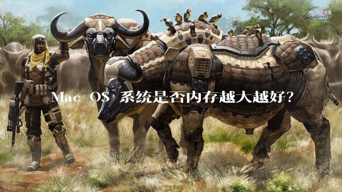 Mac OS 系统是否内存越大越好？