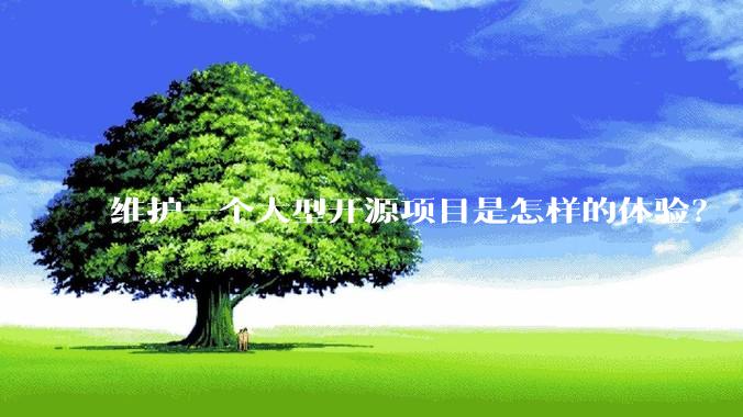 维护一个大型开源项目是怎样的体验？